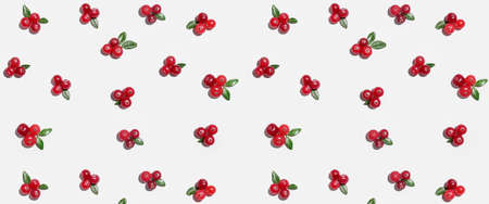 Many ripe lingonberries on white background. pattern for designの写真素材