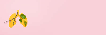 Paper lungs and tree branch on pink background with space for text