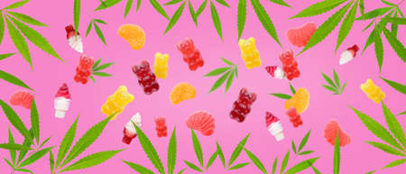 Flying tasty hemp jelly candies on pink backgroundの写真素材