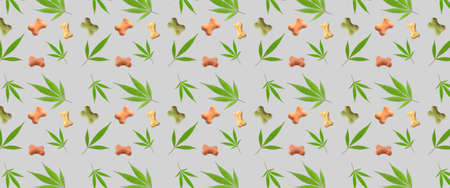 Dry pet food with hemp leaves on gray backgroundの写真素材