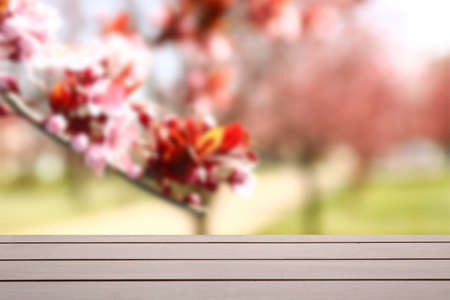 Wooden table against blurred blooming branches outdoors in spring garden