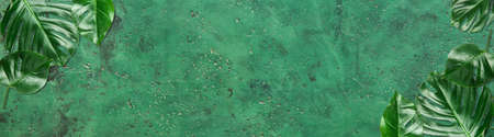 Tropical leaves on green background with space for text. Banner design