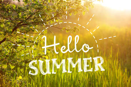 Beautiful green garden on sunny day. hello summer