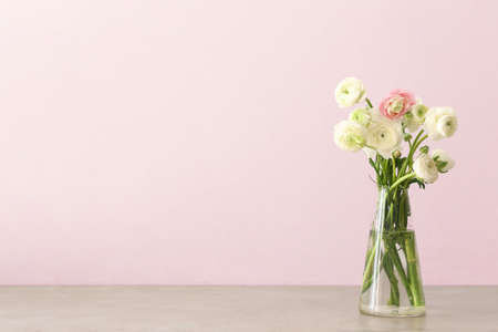 Glass vase with beautiful ranunculus flowers on table