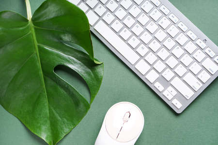 Computer keyboard with mouse and palm leaf on green backgroundの写真素材