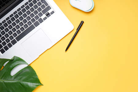 Laptop with palm leaf, pen and computer mouse on yellow backgroundの写真素材