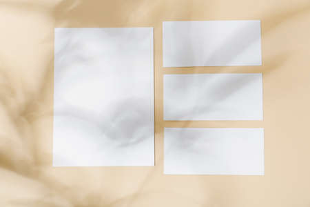 Blank paper sheets and shadows on color background