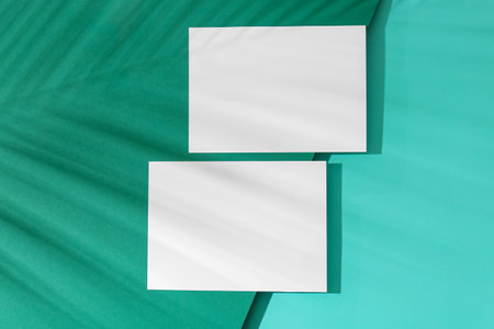 Blank sheets of paper with palm leaf shadow on color backgroundの写真素材