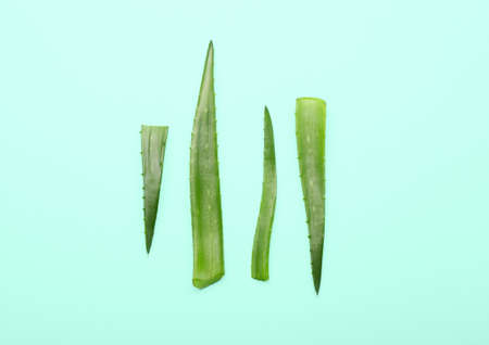 fresh cut aloe vera leaves on color backgroundの写真素材