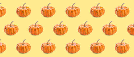 Many fresh pumpkins on yellow background. pattern for designの写真素材