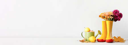 Rubber boots, flowers, watering can and fruits on light background with space for textの写真素材