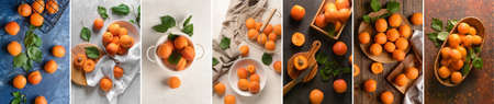 Collage with sweet tasty apricotsの写真素材