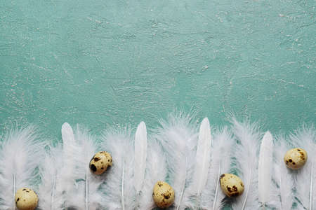 Beautiful white feathers and quail eggs on green background