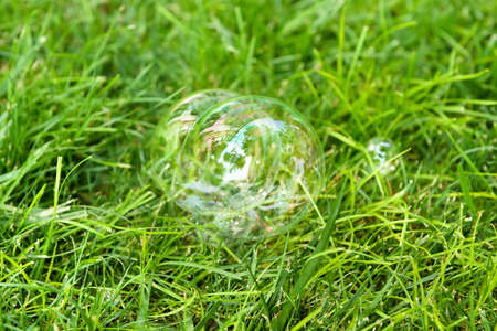 Soap bubbles on green grass outdoors