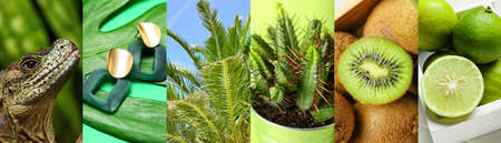 Collage of photos in green colors with tropical fruits, plants, stylish earrings and lizard
