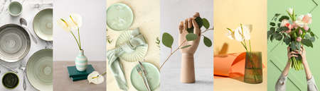 Collage of photos in green colors with stylish dinnerware, fresh flowers and eucalyptus branchの写真素材