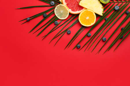 Composition with different fruits and palm leaf on color background, closeup
