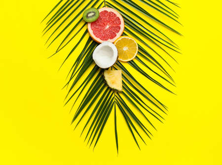 Composition with different fruits and palm leaf on color backgroundの写真素材