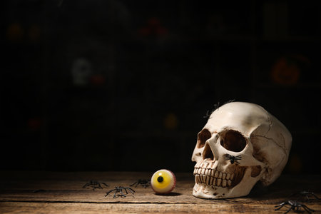 human skull on table against dark backgroundの写真素材