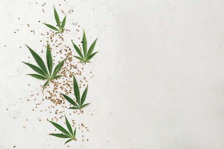 Hemp seeds with leaves on light backgroundの写真素材