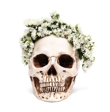 human skull with flowers on white backgroundの写真素材