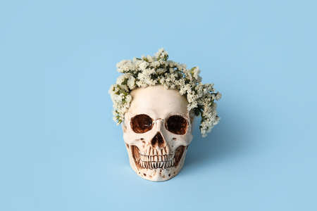 human skull with flowers on color background