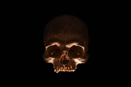 Silhouette of human skull on dark backgroundの写真素材