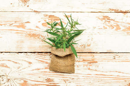 Sack with hemp leaves on white wooden backgroundの写真素材