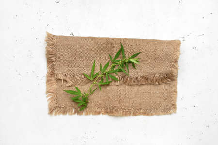 Hemp cloth on white backgroundの写真素材