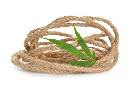 Hemp rope on white backgroundの写真素材