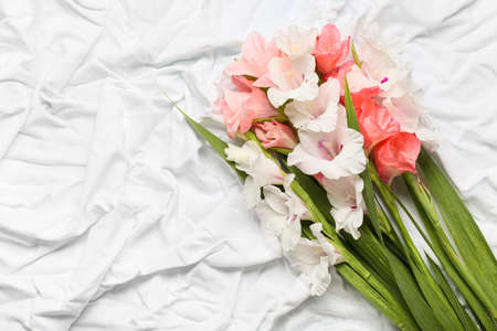Gorgeous gladiolus flowers on light fabric backgroundの写真素材
