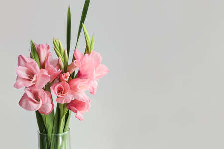 Vase with gorgeous gladiolus flowers on light backgroundの写真素材