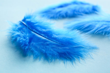 Beautiful blue feathers on color backgroundの写真素材