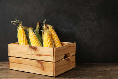 Box with fresh corn cobs on wooden tableの写真素材