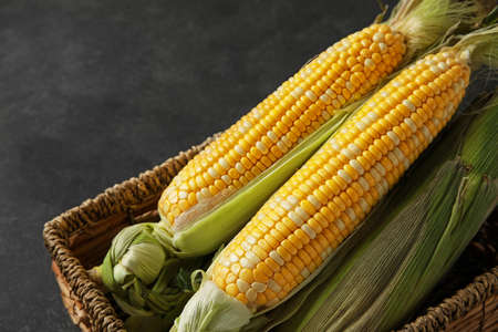 Wicker box with fresh corn cobs on dark background