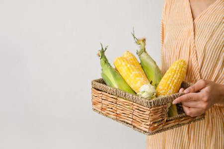 Woman holding basket with fresh corn cobs on light backgroundの写真素材