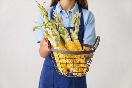 Woman holding basket with fresh corn cobs on light background