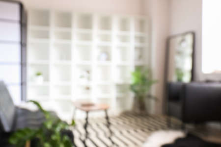 Interior of light living room with big shelf unit, blurred viewの写真素材