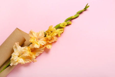 Beautiful gladiolus flower wrapped in paper on color background, closeupの写真素材