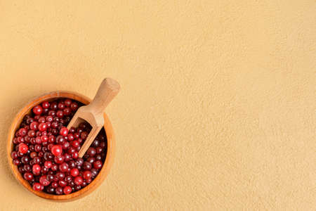Bowl and scoop with healthy cranberries on color background