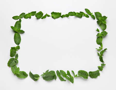 Frame made of green mint leaves on white background
