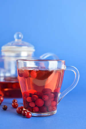 Glass cup of tasty cranberry tea on blue background, closeupの写真素材