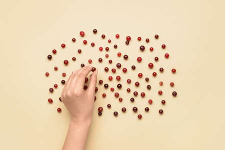Female hand with ripe cranberry on color backgroundの写真素材