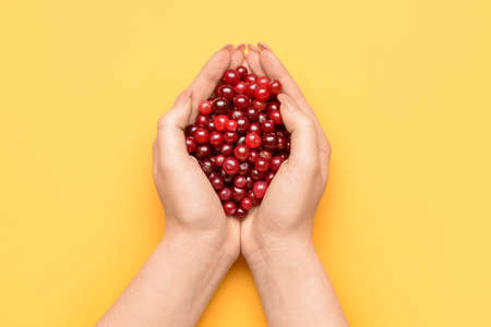 Female hands full of ripe cranberry on color background, closeupの写真素材