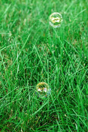 Rainbow soap bubbles on green grass outdoors