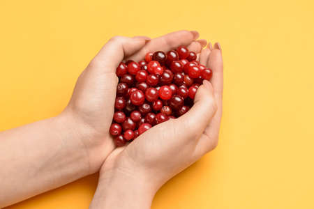 Female hands full of ripe cranberry on color background, closeupの写真素材