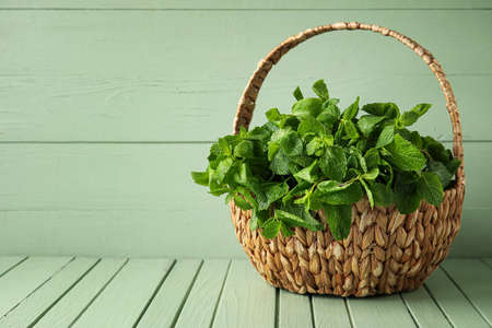 Basket with mint leaves on color wooden backgroundの写真素材