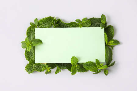 Frame made of mint leaves and blank card on white backgroundの写真素材