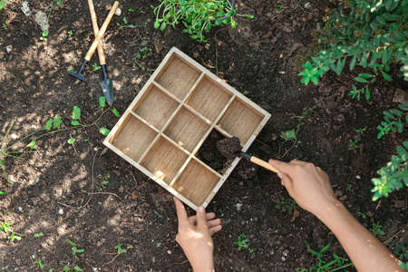 Gardener putting soil into wooden box