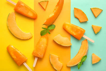 Tasty melon on color background